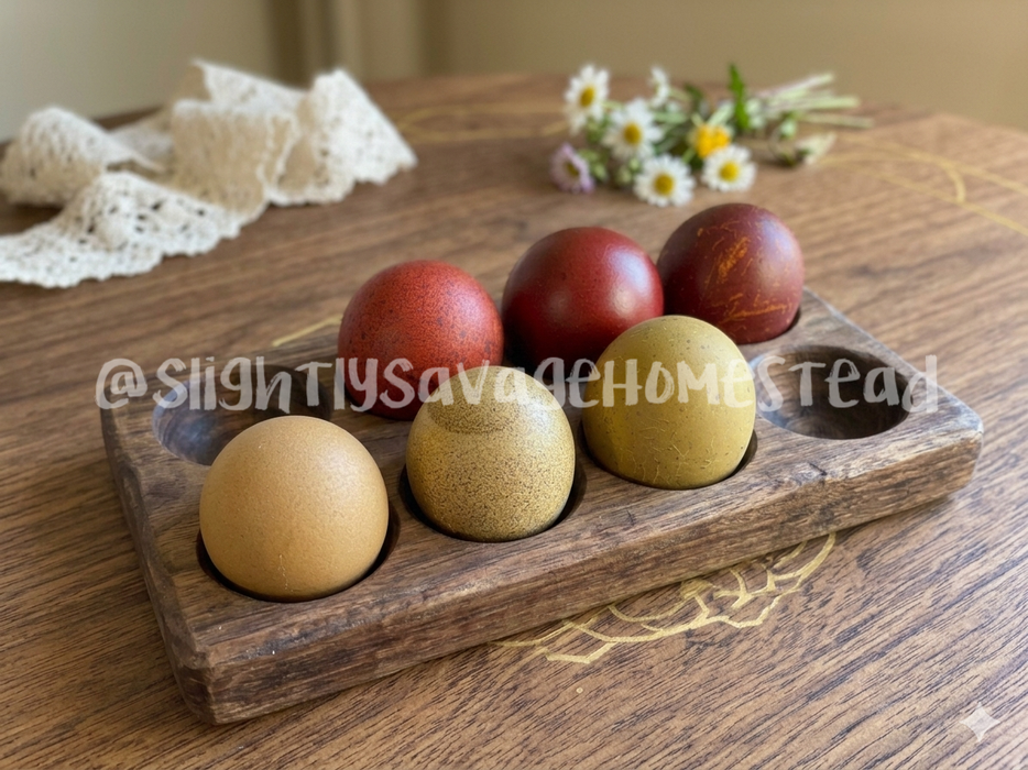 Olive Egger - Hatching Eggs